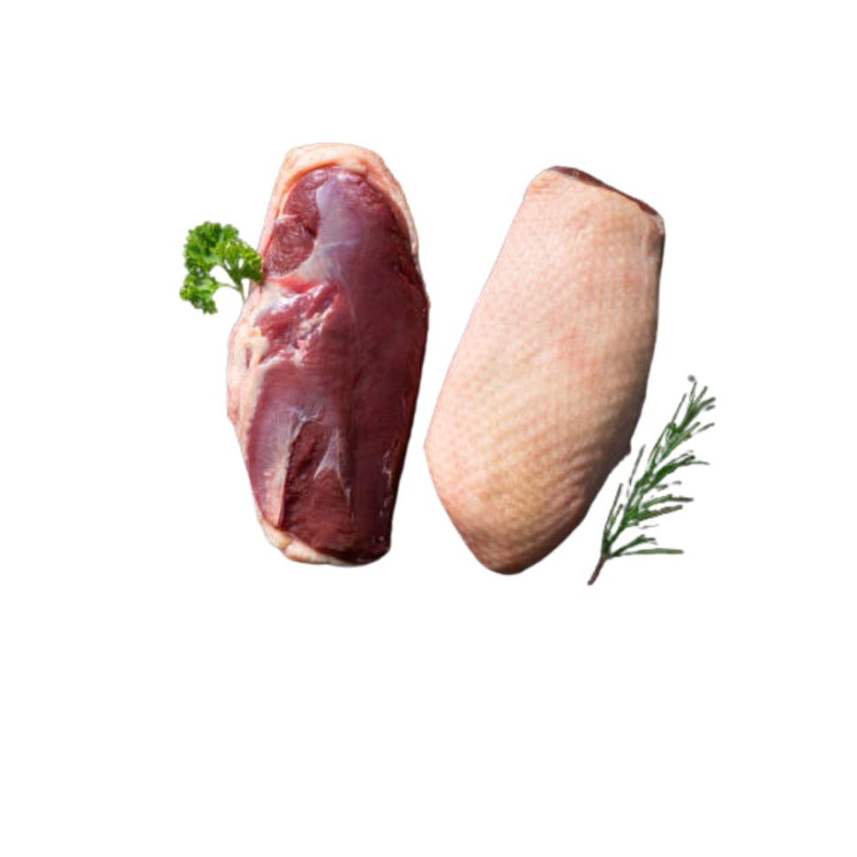 Magret de canard