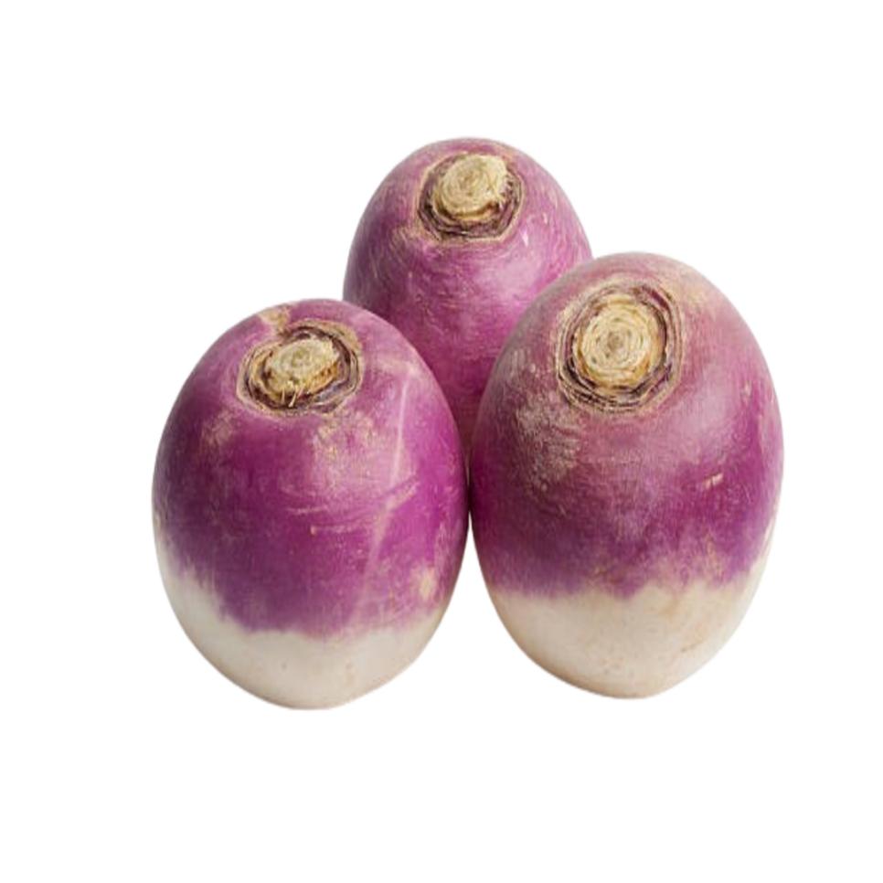 Navet Violet