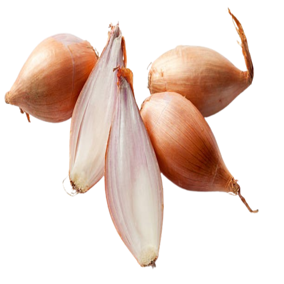 Échalote