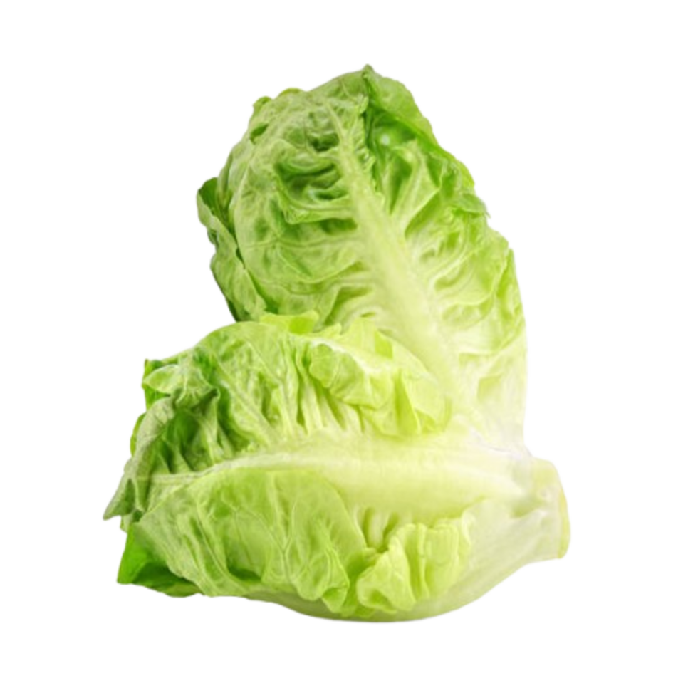Sucrine Salade