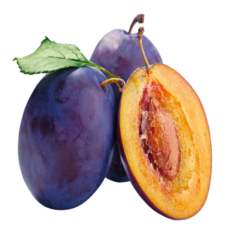 Prune