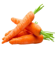 Carottes