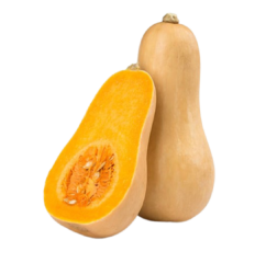 Butternut