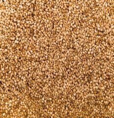 Sésame doré 100g