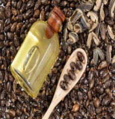Huile De Ricin 30ml