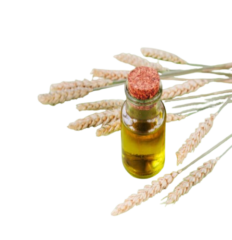 Huile de germe de blé 30ml