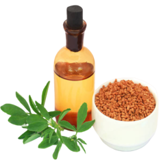 Huile De Fenugrec 30ml
