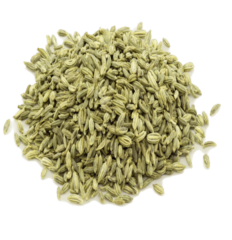 Fenouil Grain 100g