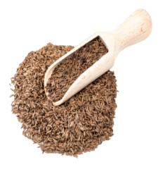 Carvi Grain 100g