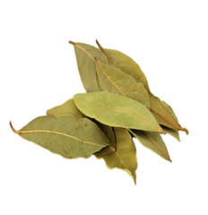 Feuille De Laurier 12g