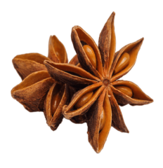 Badiane Anis Étoile 100g