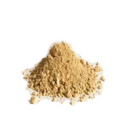 Gingembre Moulu 100g