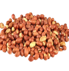 ARACHIDE  DÉCORTIQUÉE CRUE 400G
