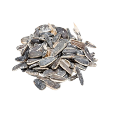 GRAINE DE TOURNESOL SALÉE 400G