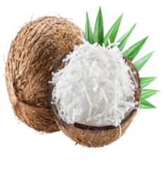 NOIX DE COCO RÂPÉE 400G
