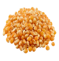 MAIS POP CORN 1KG