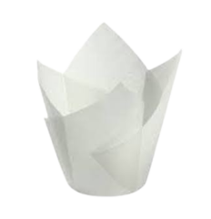 Caissettes tulipe blanc