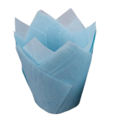 Caissettes tulipe bleu