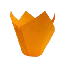 Caissettes tulipe Orange