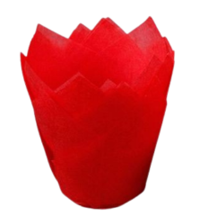 Caissettes tulipe rouge