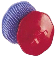 Brosse ou Mechta en couleur