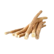 Siwak ou bâton d'araq