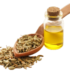 Huile essentielle de Fenouil 30ml